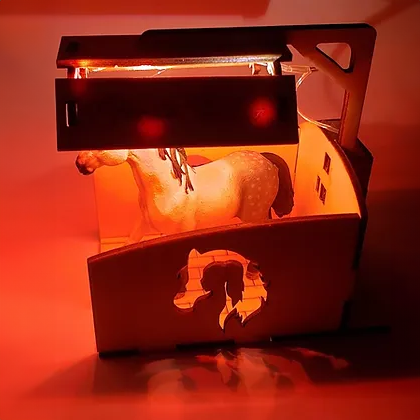 Handgefertigtes Pferde Solarium mit LED Beleuchtung
